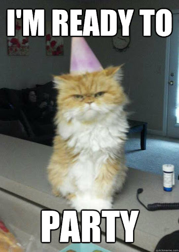 A meme of a cat wearing a party hat that says "I'm ready to party".